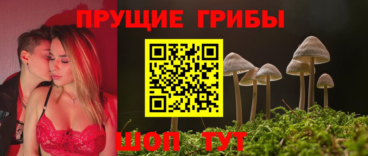 Псилоцибиновые грибы Magic Shrooms  где продают наркотики  Мытищи  Вход с VPN  Галлюциногенные грибы прущие грибы 
